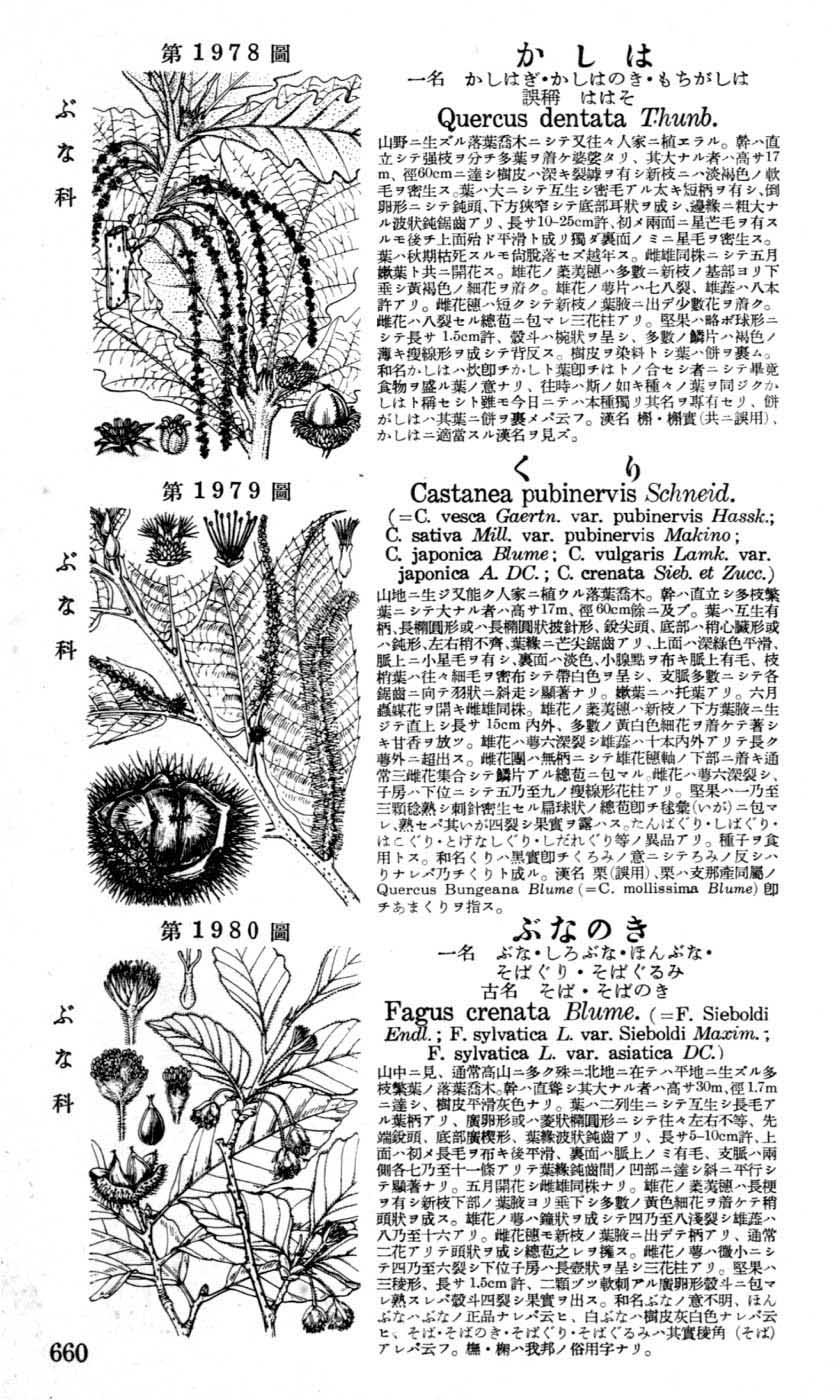 植物図鑑