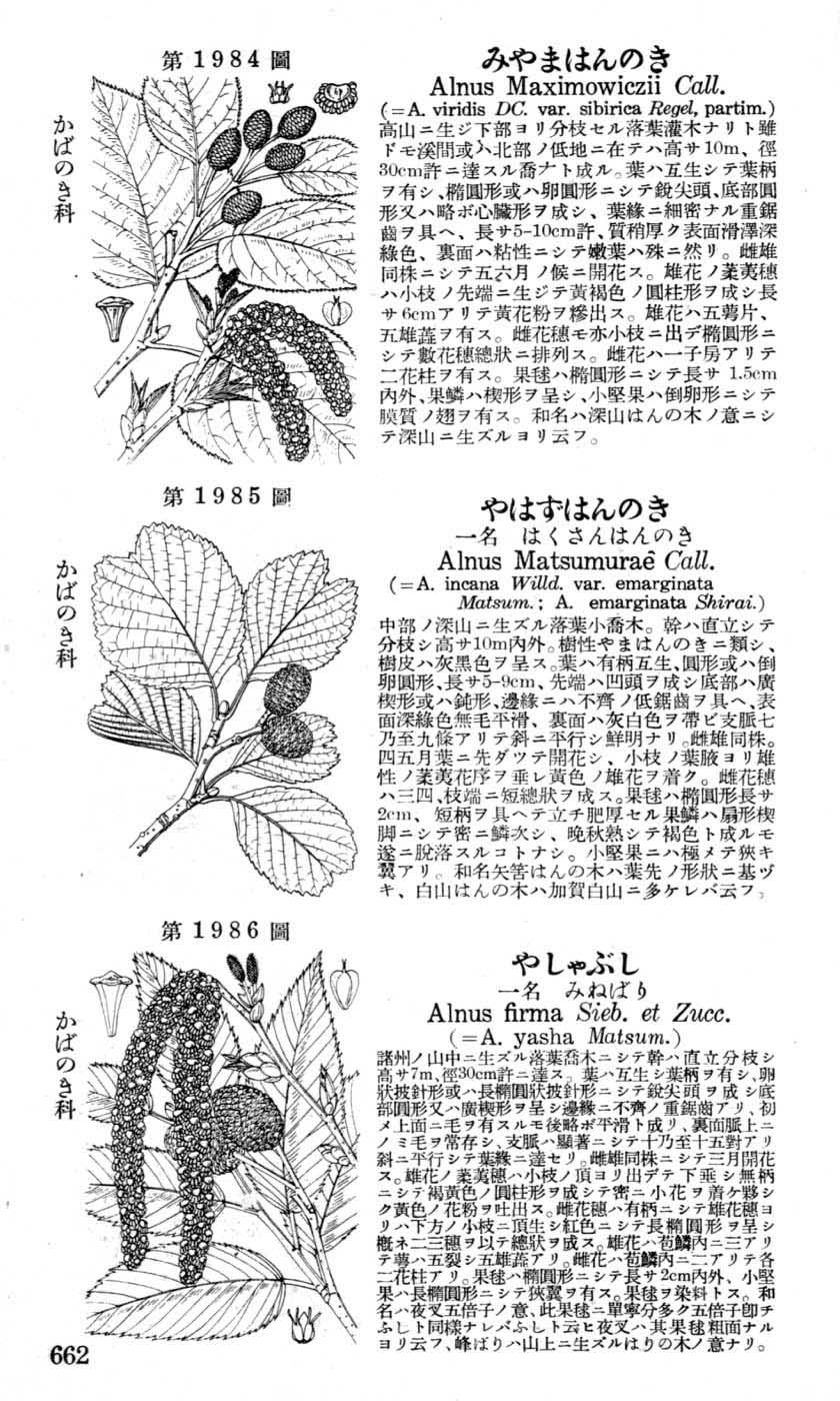 植物図鑑