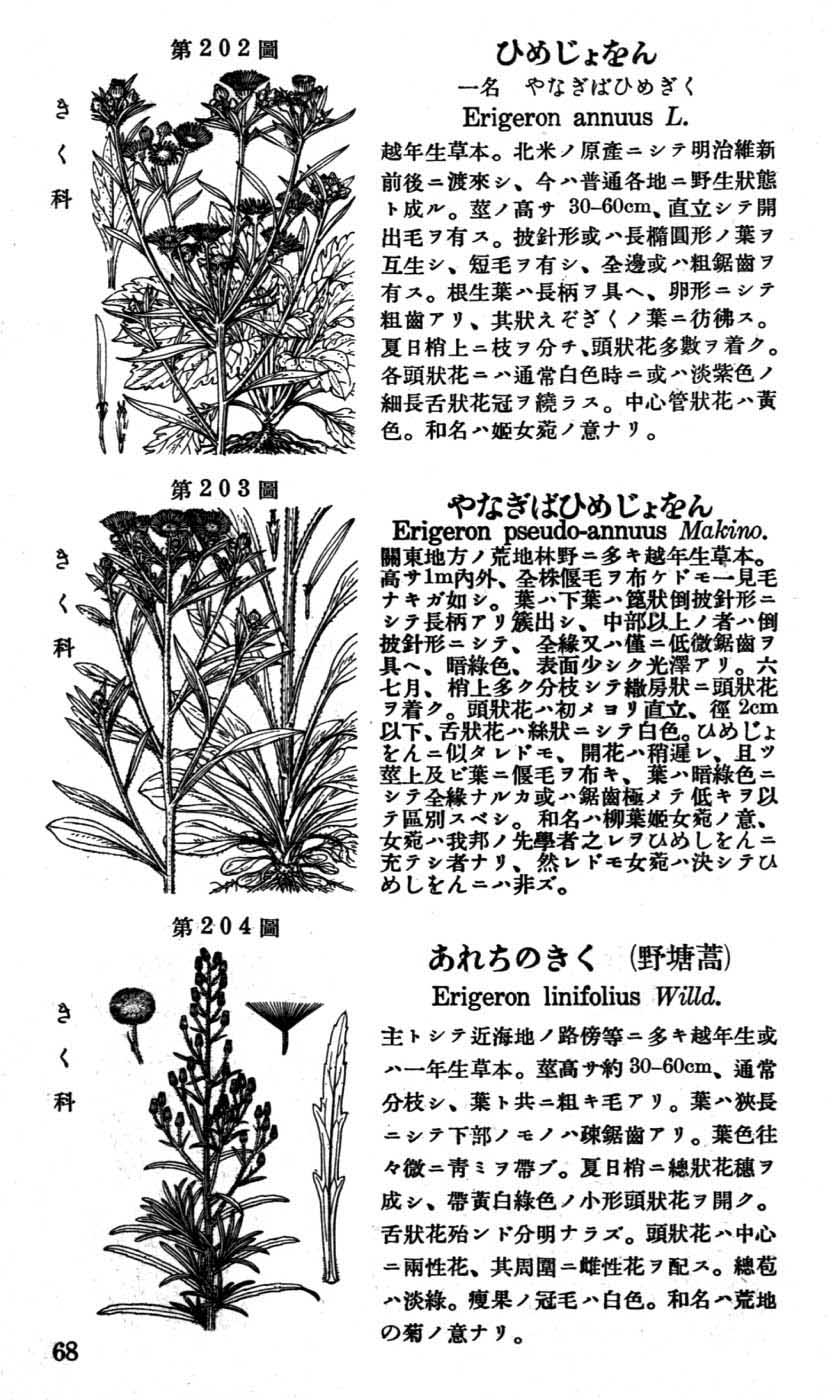 植物図鑑