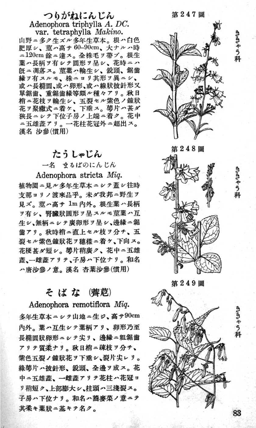植物図鑑