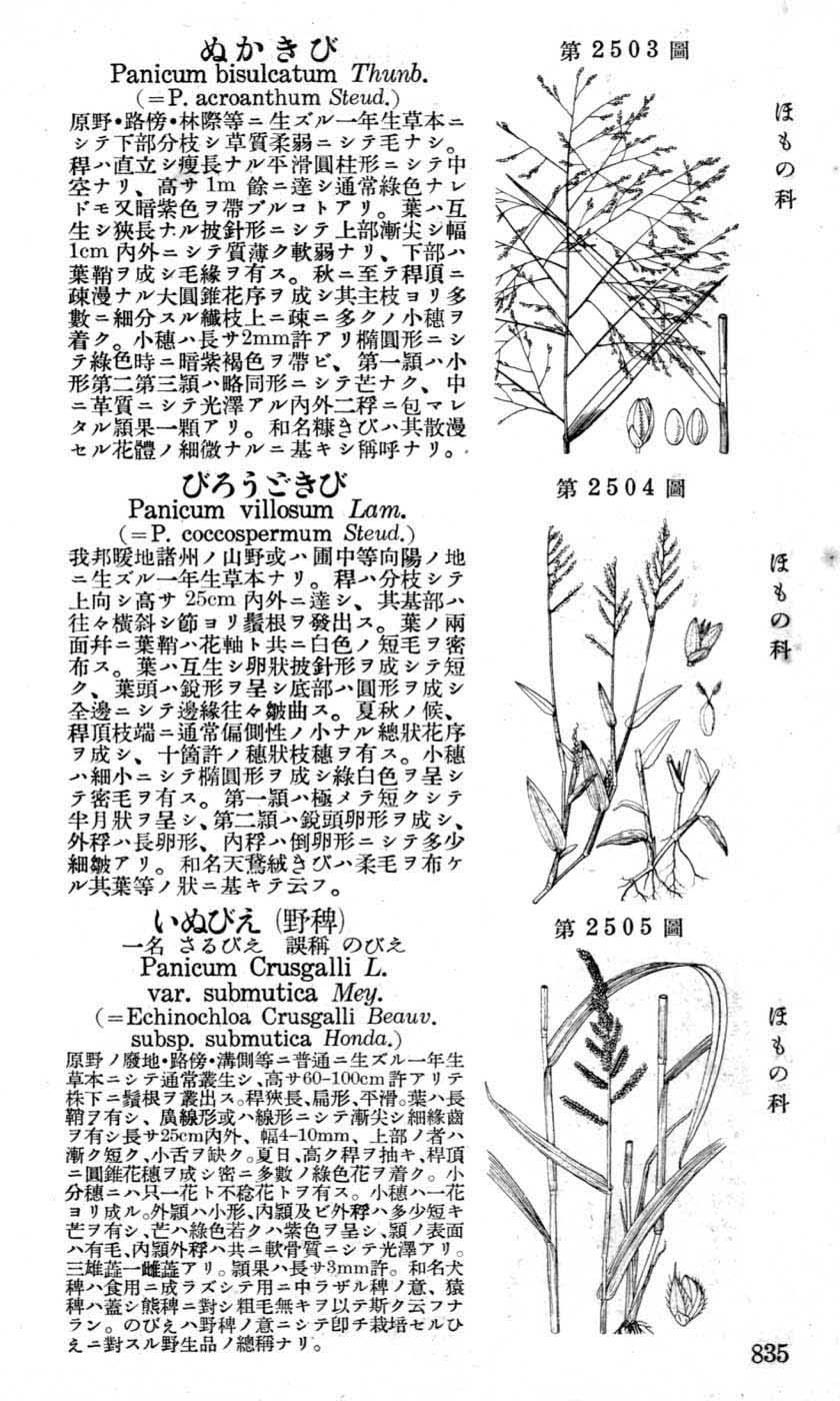 植物図鑑