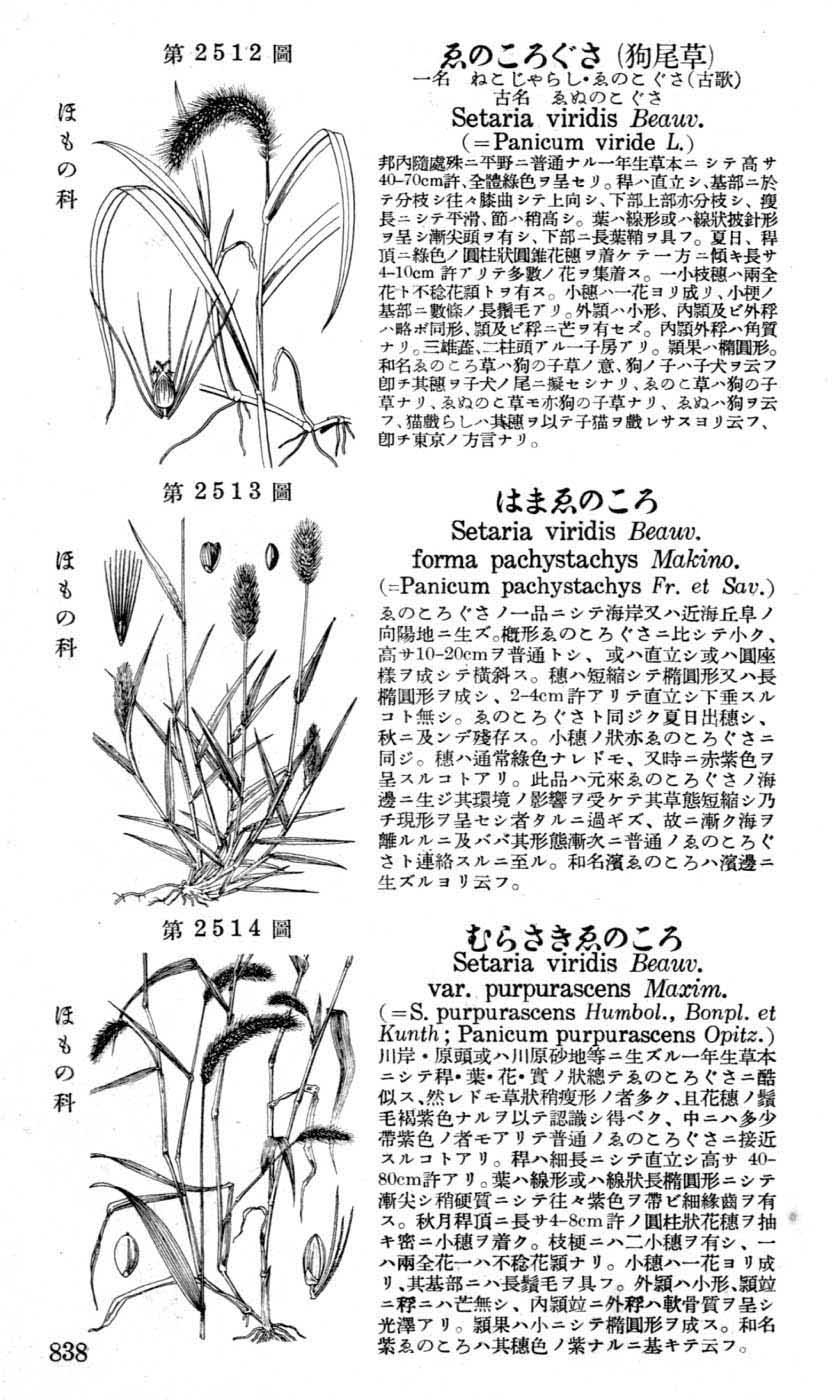 植物図鑑