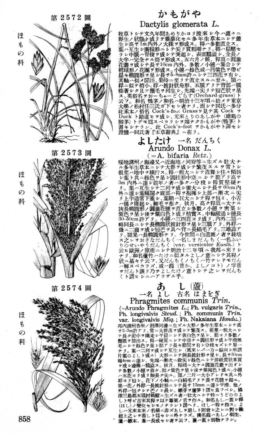 植物図鑑