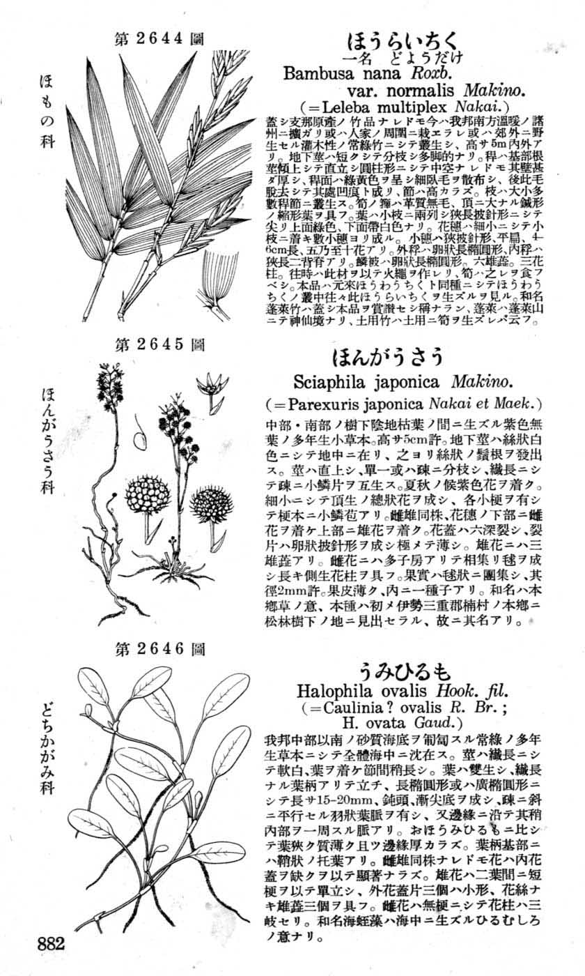 植物図鑑