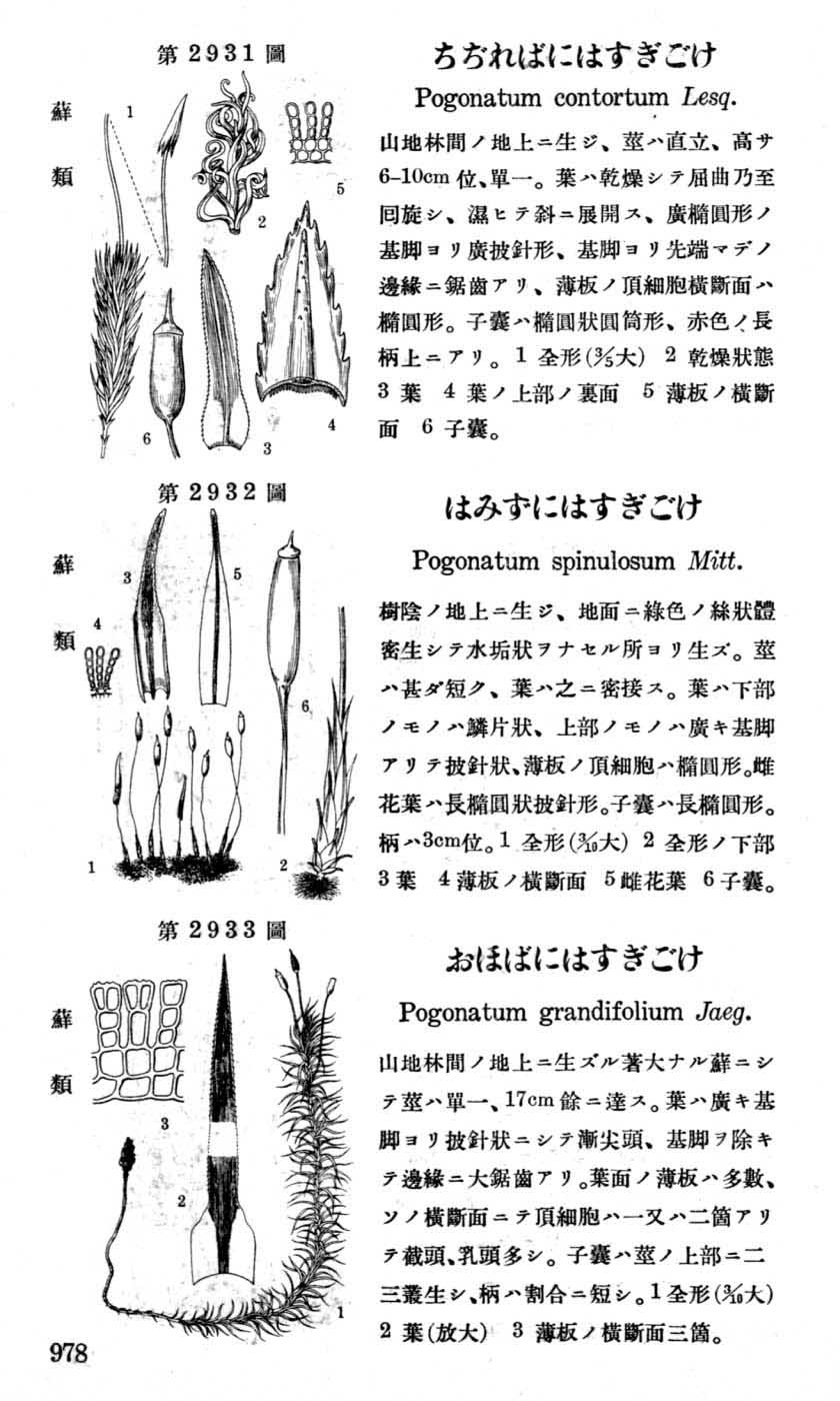 植物図鑑