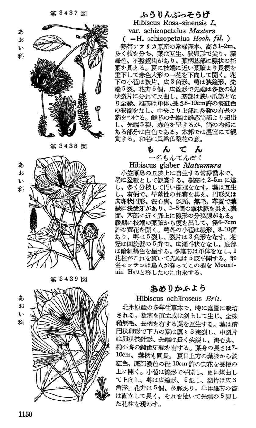 植物図鑑