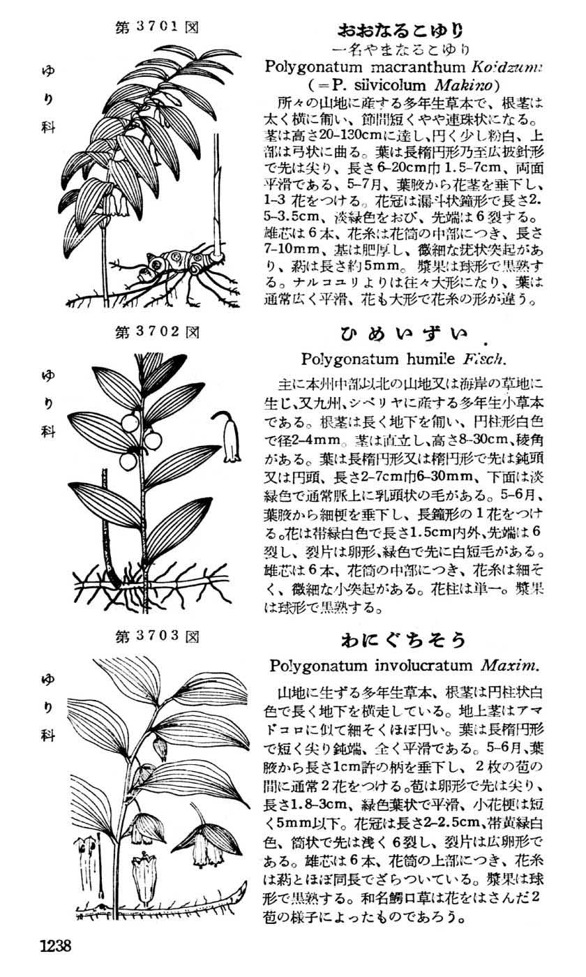 植物図鑑