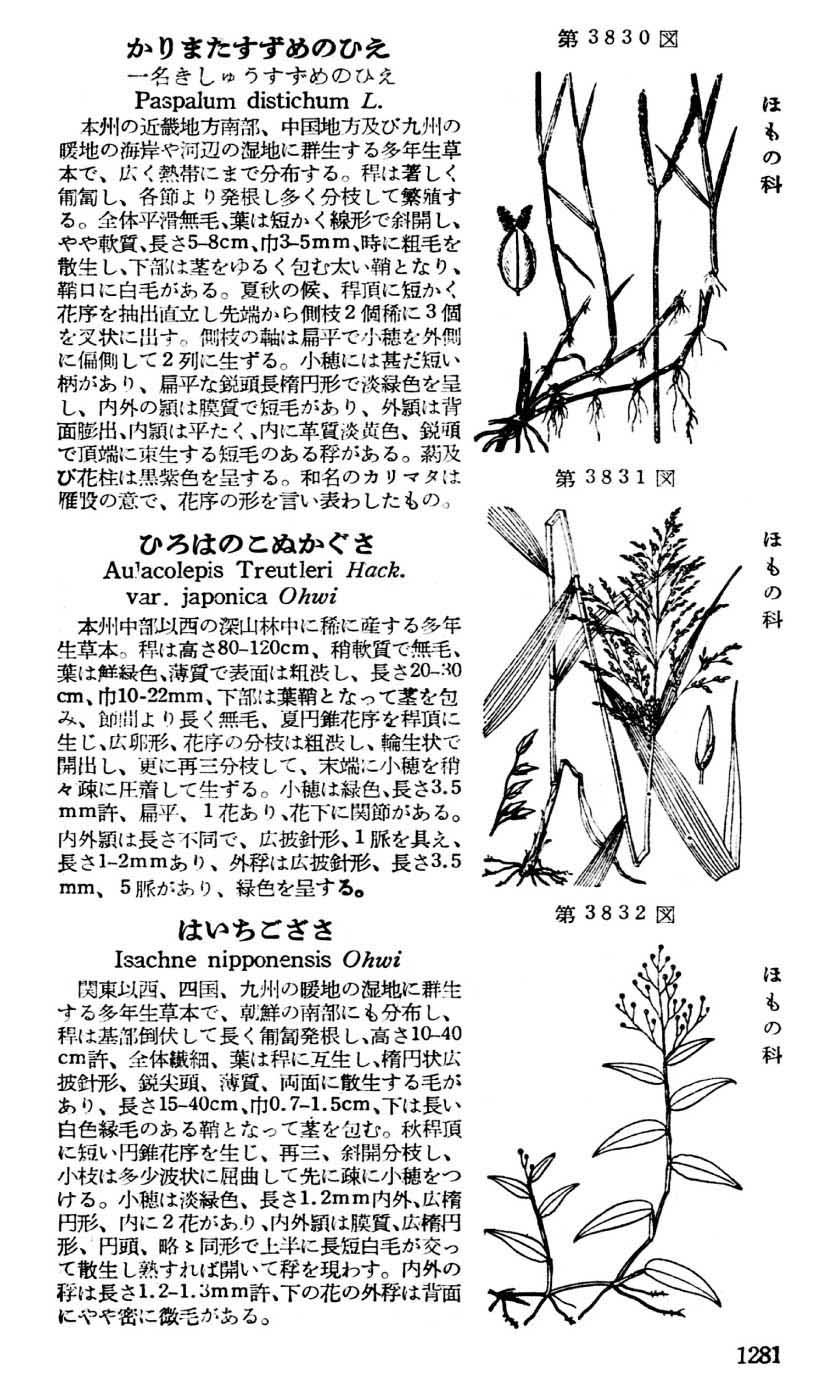 植物図鑑